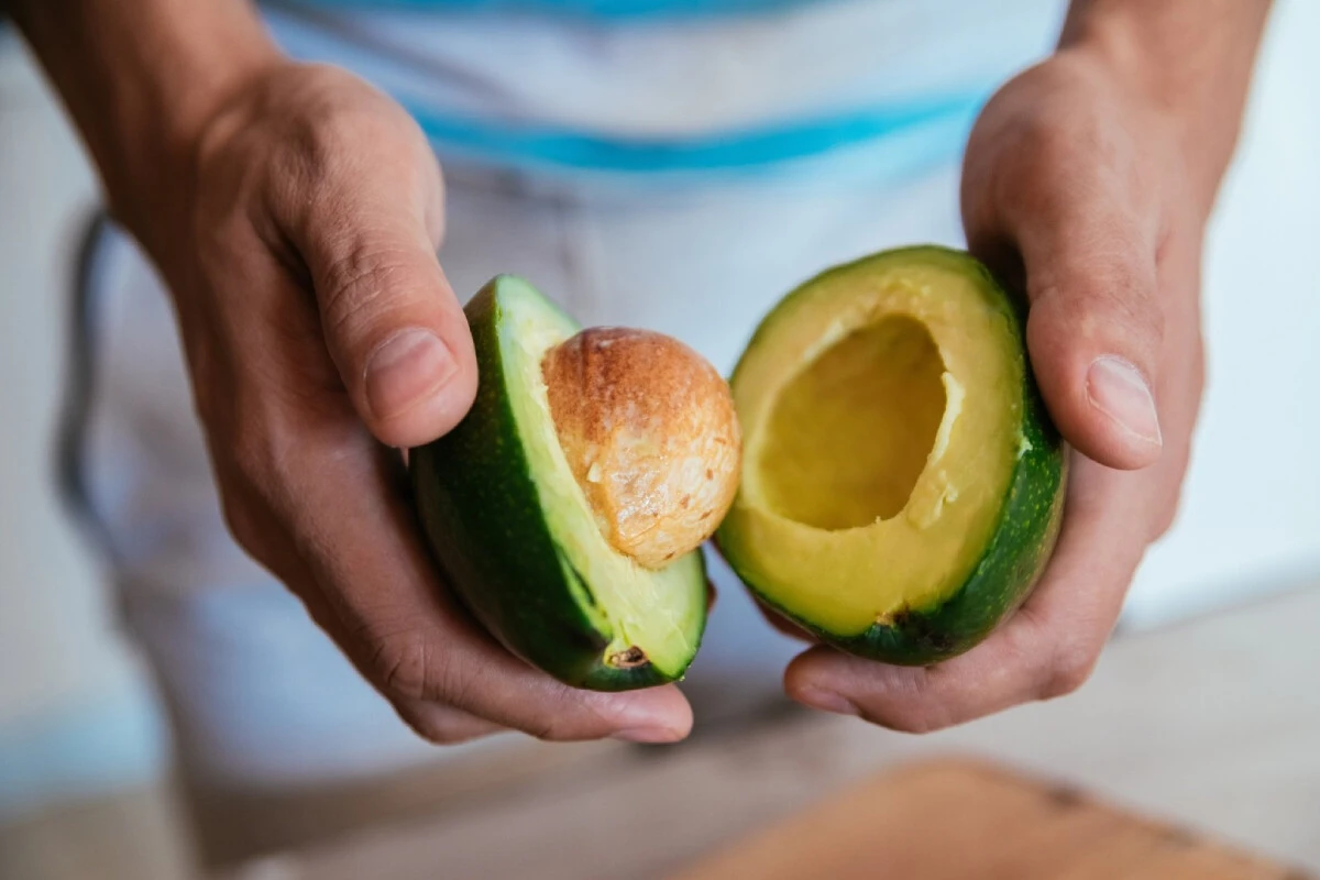 Paranız cebinizde kalsın! Evde avokado yetiştirmenin incelikleriyle sakinliğin ve huzurun tadına varın