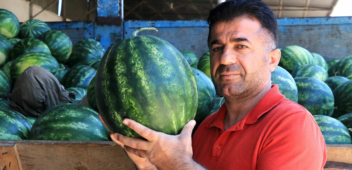 Haldeki fiyatlar düşüşe geçti! Sebze ve meyve yarıya inecek