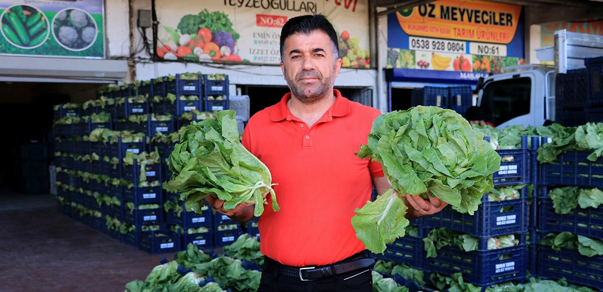 Haldeki fiyatlar düşüşe geçti! Sebze ve meyve yarıya inecek