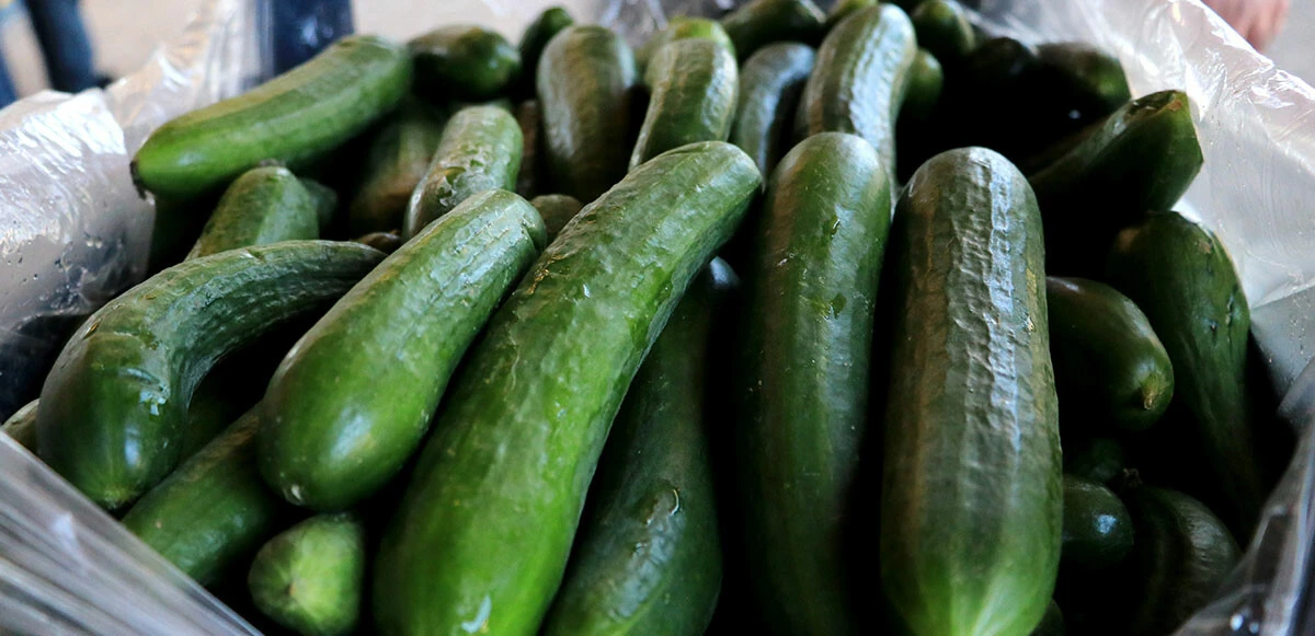 Haldeki fiyatlar düşüşe geçti! Sebze ve meyve yarıya inecek