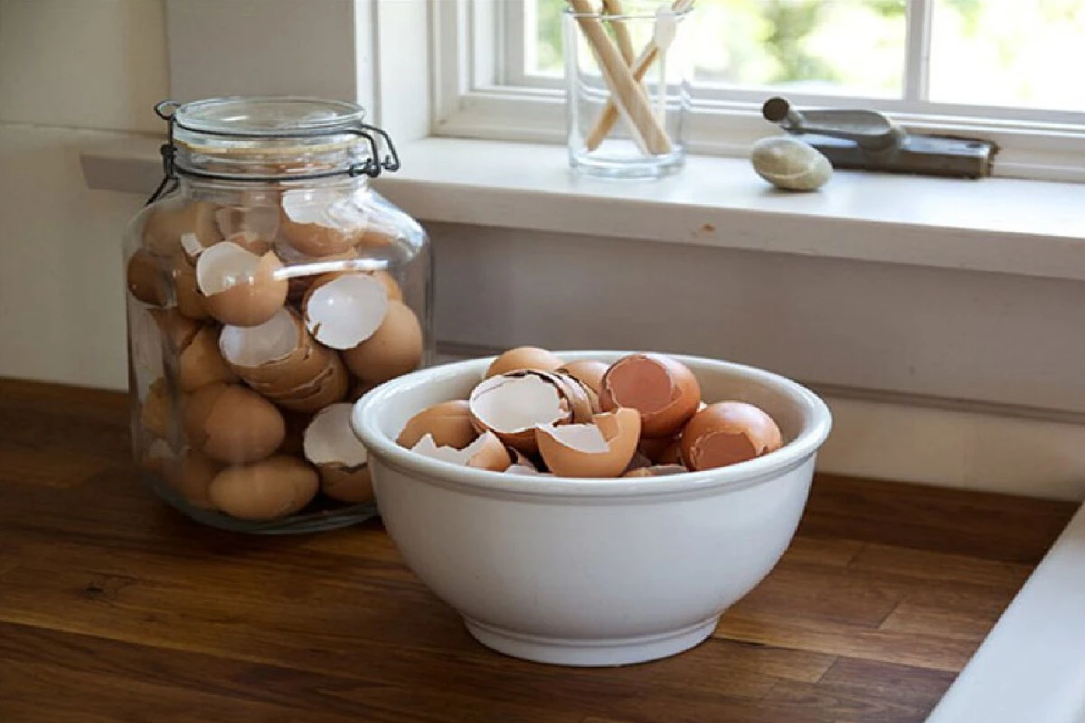 Blender bıçaklarını keskinleştirmek için harika yöntem: Yumurta kabuklarıyla kör bıçaklara elveda deyin!