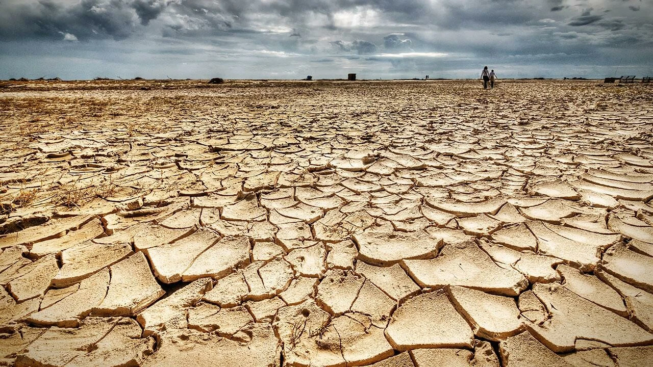Ölümlerin sayısı ikiye katlandı! Yeni riskler çağına giriyoruz