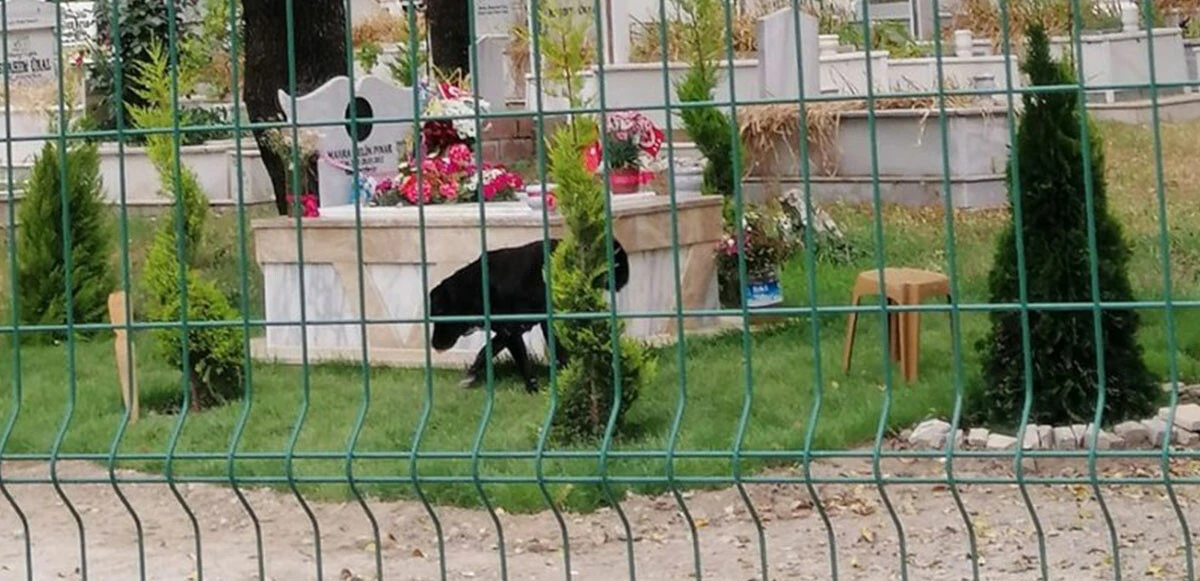 Acılı anne Derya Pınar’dan Gülbin Tosun hakkında suç duyurusu