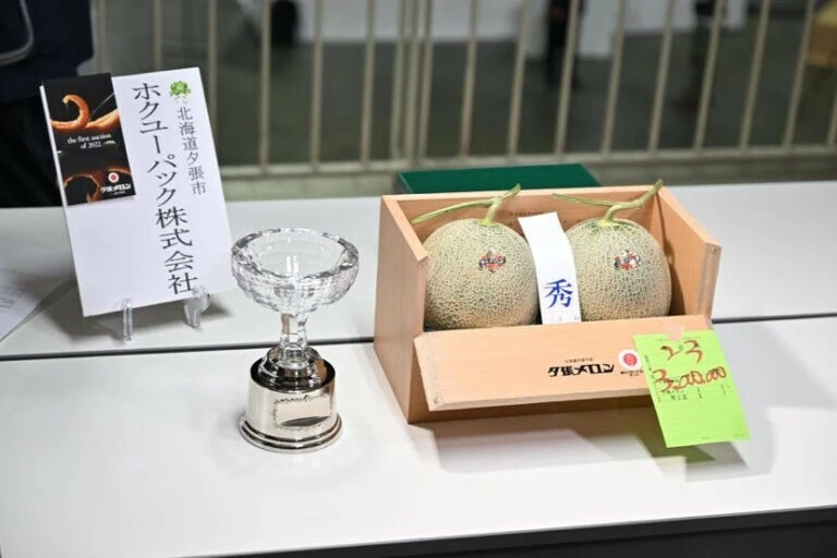 Japonya'da iki kavunun fiyatı dudak uçuklattı! Yüz binlerce liraya satıldı