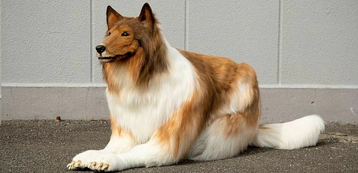 Hayvan gibi yaşamak için 250 bin lira harcadı! En büyük hayali gerçek oldu