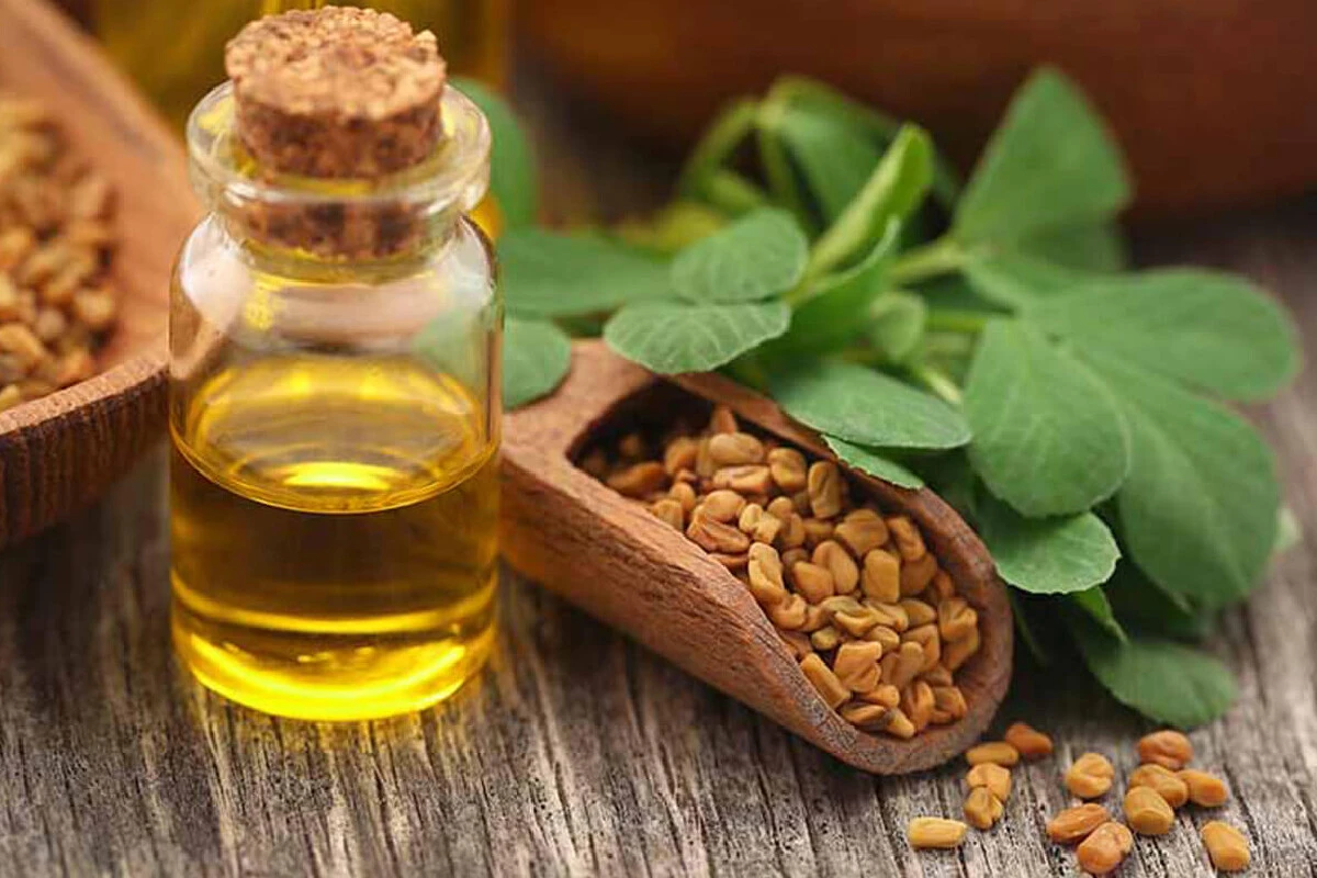 Herkesin korkulu rüyası saçta kepek oluşumuna son! İbn-i Sina bin yıl öncesinden önerdi: Üstelik hem ucuz hem doğal yöntem