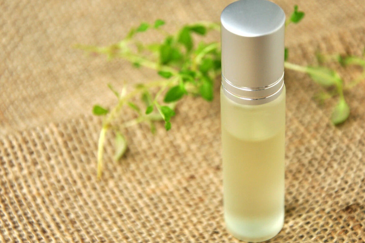 Herkesin korkulu rüyası saçta kepek oluşumuna son! İbn-i Sina bin yıl öncesinden önerdi: Üstelik hem ucuz hem doğal yöntem