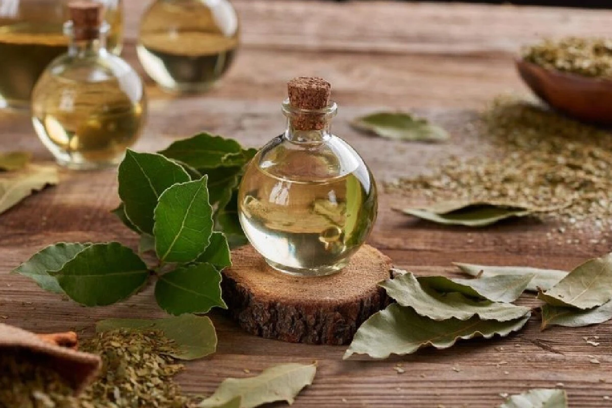 Herkesin korkulu rüyası saçta kepek oluşumuna son! İbn-i Sina bin yıl öncesinden önerdi: Üstelik hem ucuz hem doğal yöntem