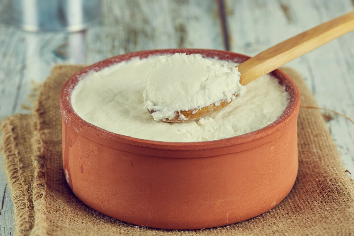 Manda yoğurdunun namını geride bırakacak taş gibi yoğurt mayalama yöntemi ile hazır almaya son! Püf noktalarıyla evde yoğurt mayalama