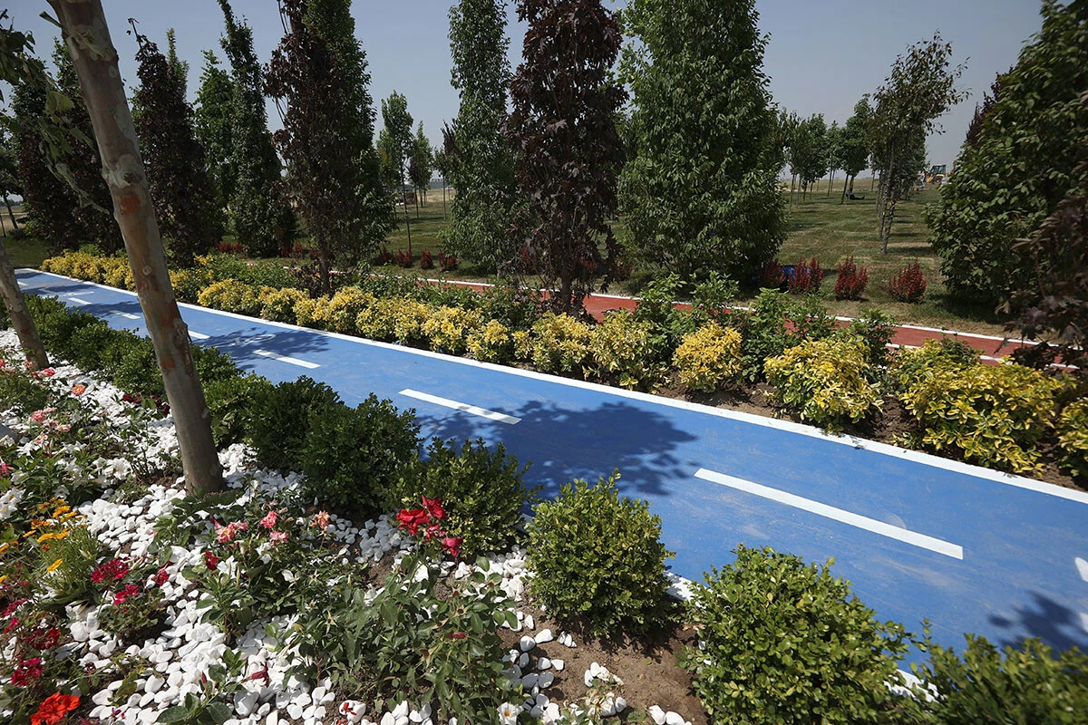 İstanbul'da fetih coşkusu: Atatürk Havalimanı Millet Bahçesi'nin ilk fidanları dikildi