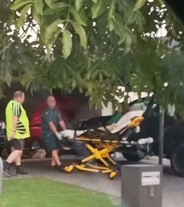 Dünyadaki en ölümcül yılanlardan biri kış uykusundan uyanır uyanmaz saldırıya geçti