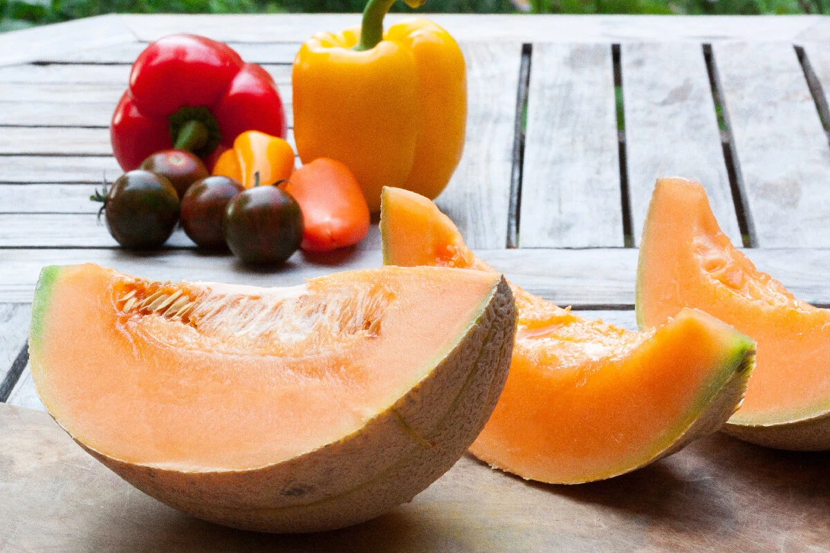 Kavunun kabuklarını atıyorsanız hemen bundan vazgeçin! Böbrek taşlarını yok ediyor, sedef, egzama ve saç dökülmesini anında önlüyor! Sakın atmayın bu yöntemle 5 kilo verin