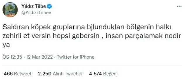 ‘Zehirli et verin, hepsi gebersin’ demişti! Yıldız Tilbe’nin ‘köpek’ soruşturmasında karar çıktı