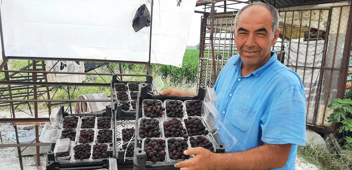 Hobi olarak başladı, şimdi 300 bin TL kazanıyor