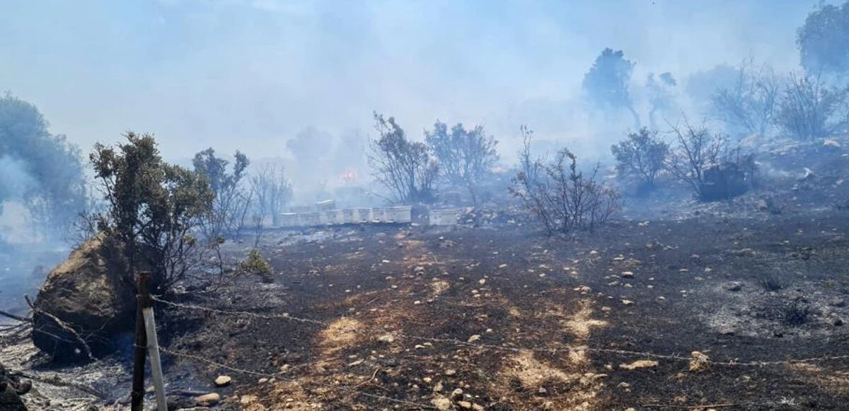 Muğla’da 3 farklı noktada orman yangını: Ekipler seferber oldu! Alevler kontrol altına alındı