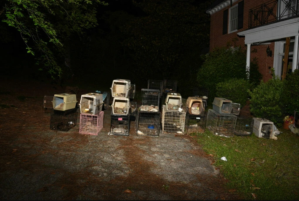 Hayvan kurtarma kuruluşu yöneticisinin evinden çıkanlar şoke etti! 'Leş kokusu' ortaya çıkardı