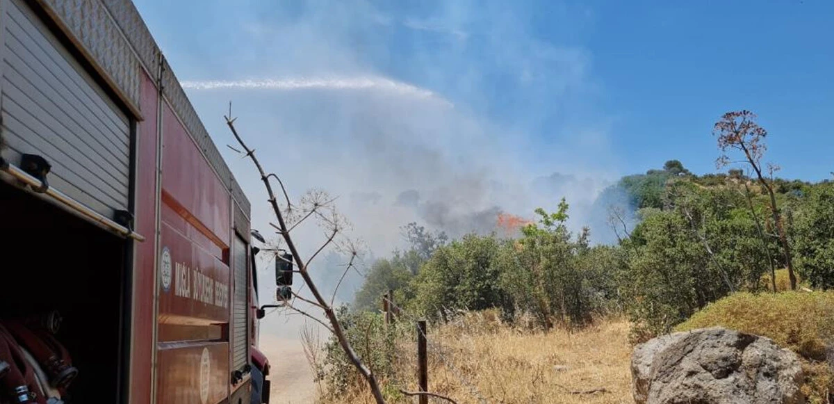 Muğla’da 3 farklı noktada orman yangını: Ekipler seferber oldu! Alevler kontrol altına alındı