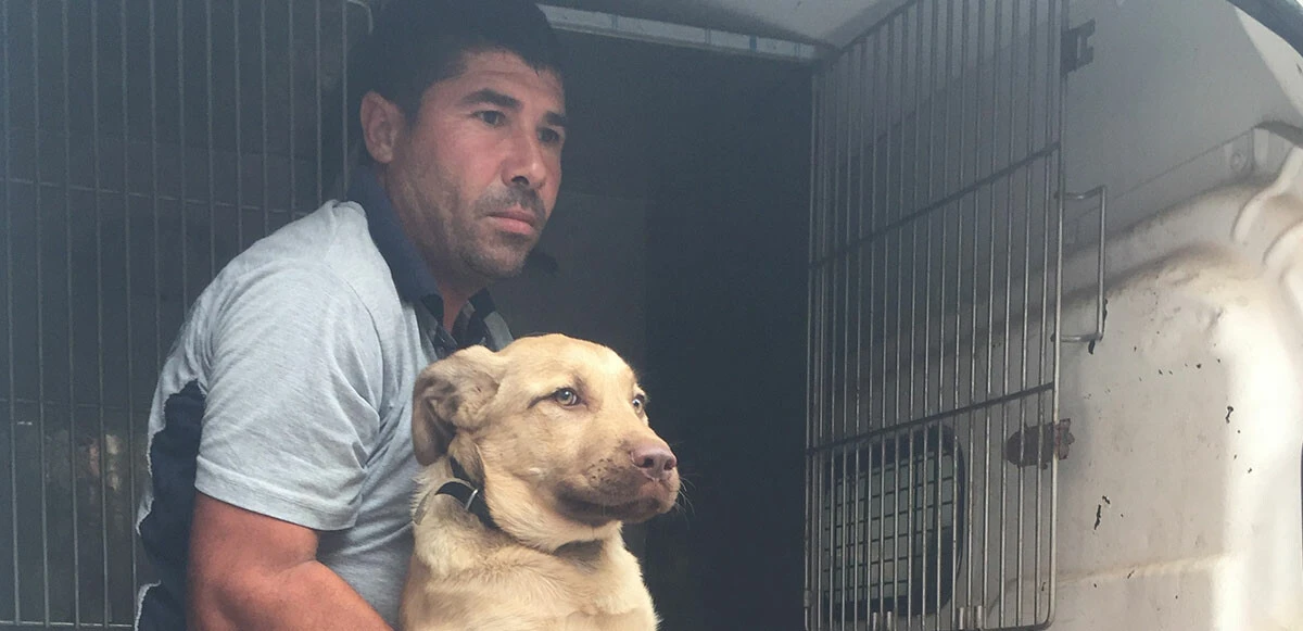 Vicdansızlığın bedeli 2 bin lira mı? Adana’da bagajda köpeği taşıyan sahibe para cezası