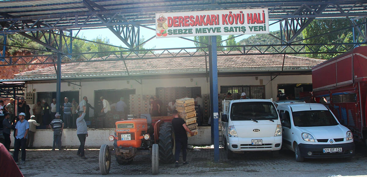 Bilecik'te 'Kiraz Borsası': Açık artırmayla satılsa bile market fiyatından ucuz