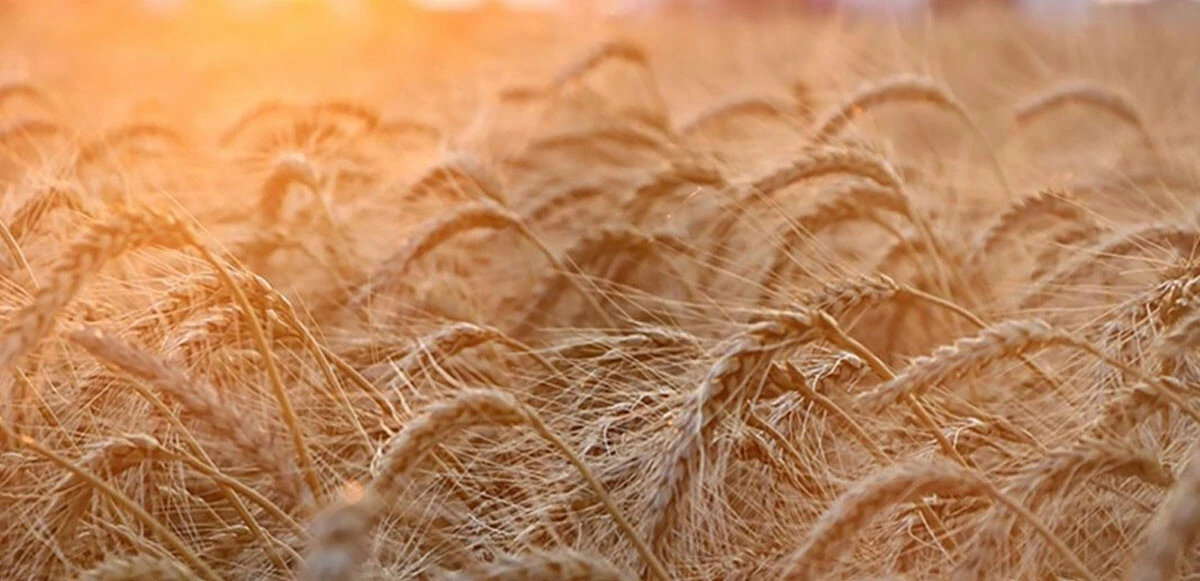 Çavuşoğlu ile Lavrov arasındaki görüşme başladı: "Tahıl krizinin” çözümü masada