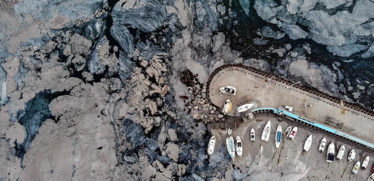 Cumhurbaşkanı Erdoğan’dan İHA foto muhabiri İsmail Coşkun'a birincilik ödülü