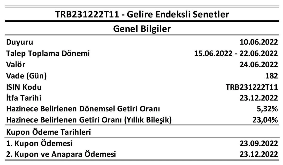 Son dakika! Hazine ve Maliye Bakanlığı GES koşullarını açıkladı: DHMİ ve KEGM paylarına endeksli olacak
