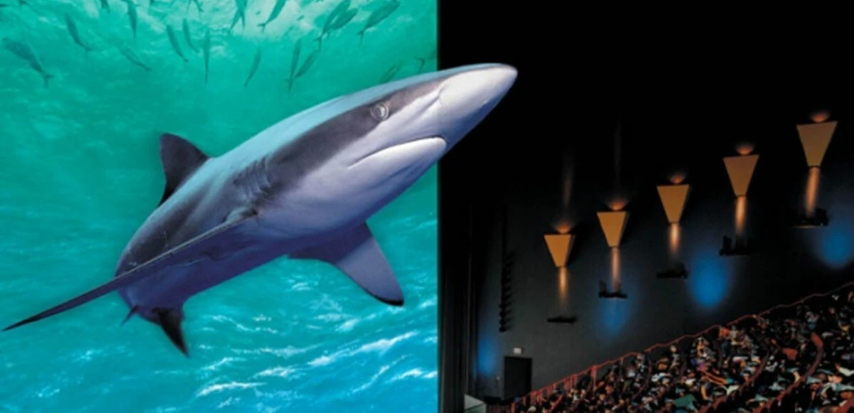 Sinemaseverlere IMAX darbesi: Tam bir hayal kırıklığı