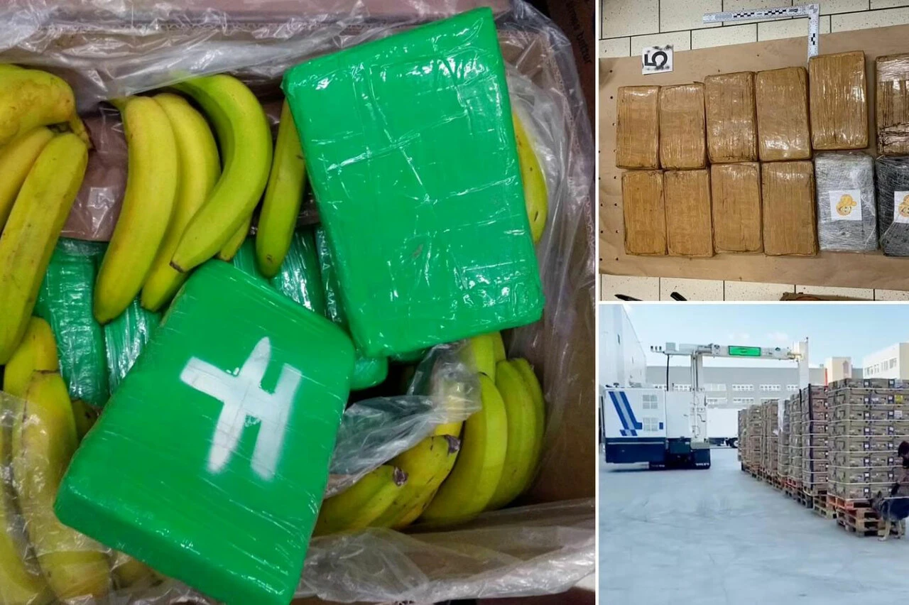 Kaçakçılar yanlışlıkla markete kilolarca <a href=