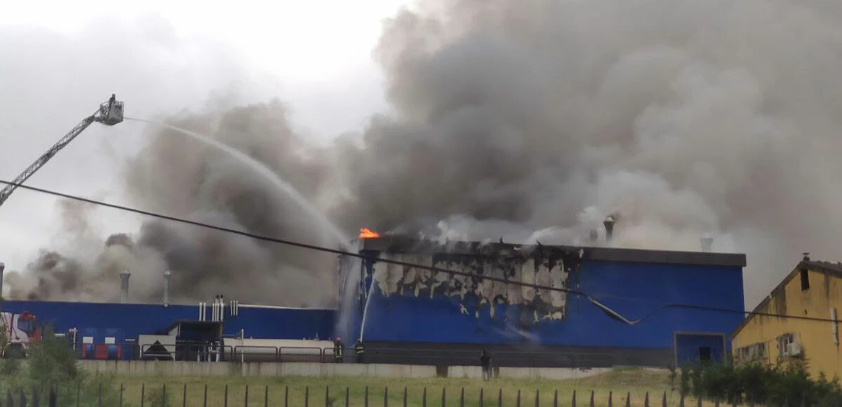 Kocaeli'de ilaç fabrikasında yangın! Alevler 5 saatte kontrol altına alındı