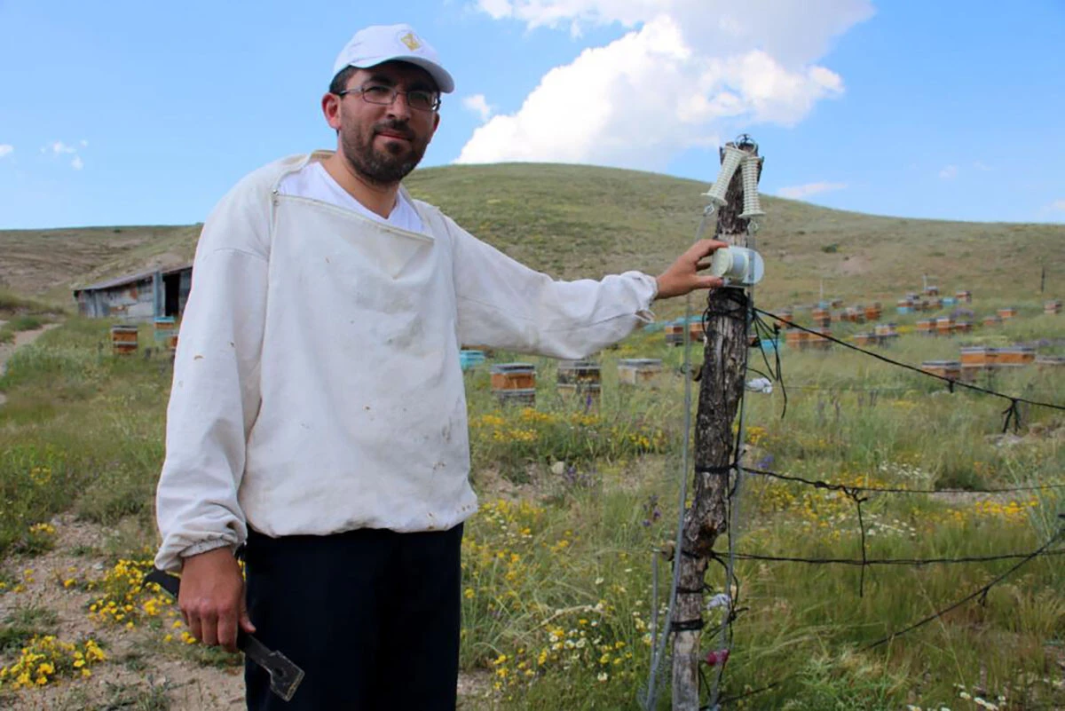 Düzenekle karşılaşan ayılar arkasına bakmadan kaçıyor