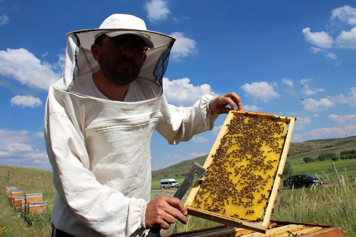Düzenekle karşılaşan ayılar arkasına bakmadan kaçıyor