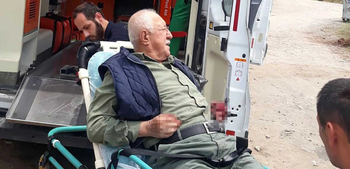 Yaşlı adam çocuk parkında köpeklerin saldırısına uğradı