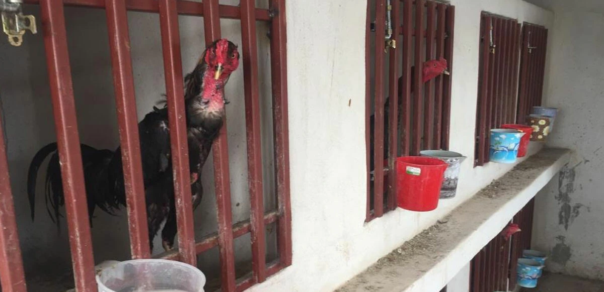 Operasyonda kapıyı açmadı: Polisi polise şikayet etmeye kalktı