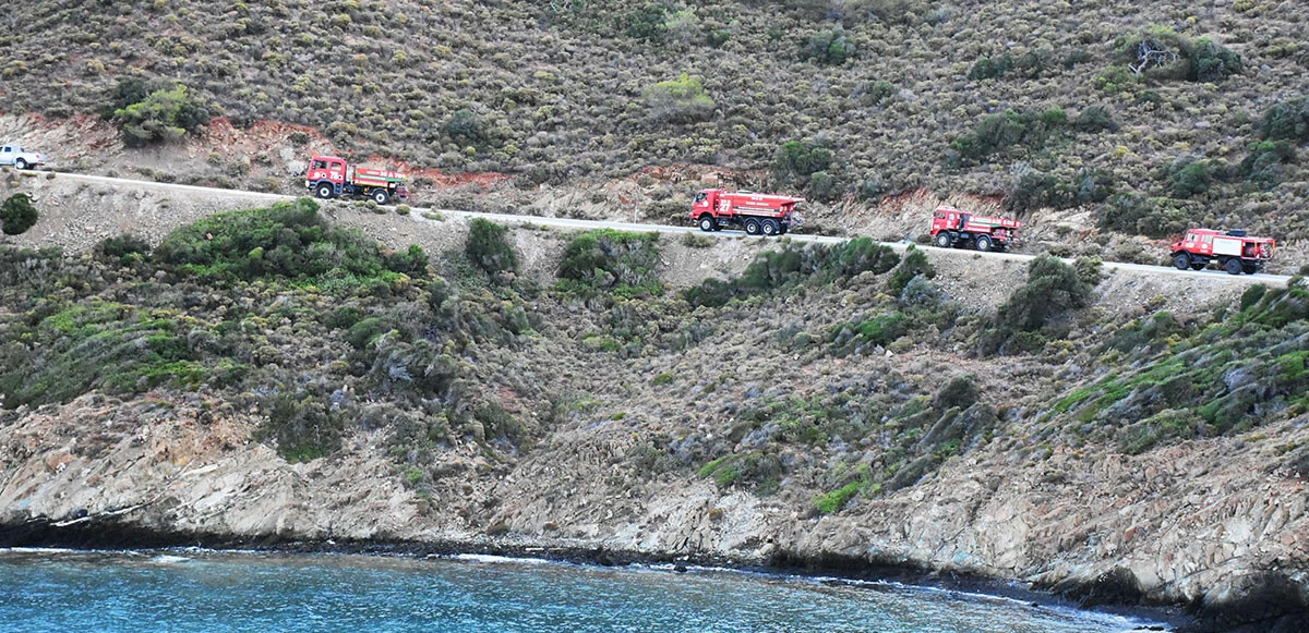 Son dakika: Ters rüzgar yangını büyütüyor! Marmaris'teki orman yangınında son durum: Savcılık soruşturma başlattı, Erdoğan da bölgede