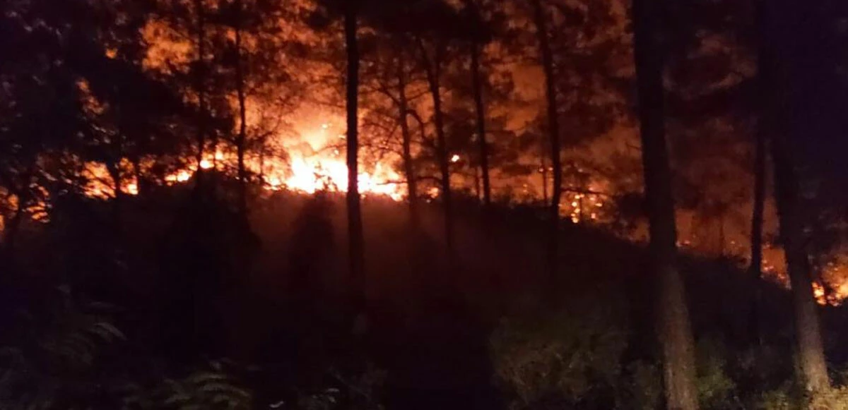 Marmaris yangınına hava muhalefeti! Uçaklarla müdahale başladı