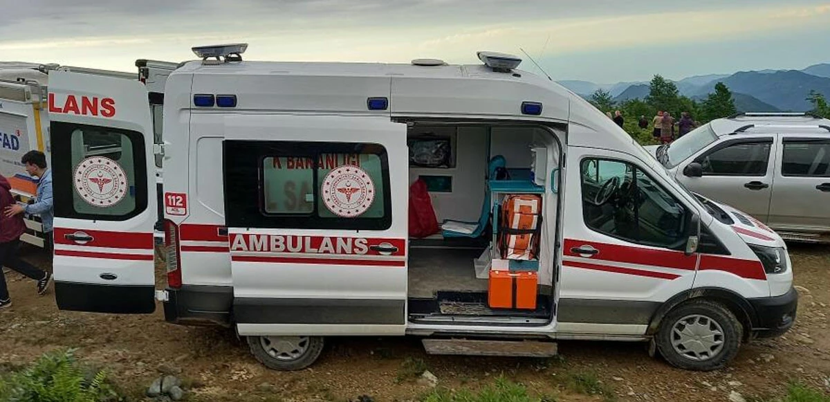 İneği ile birlikte uçurumdan düşen kadın öldü