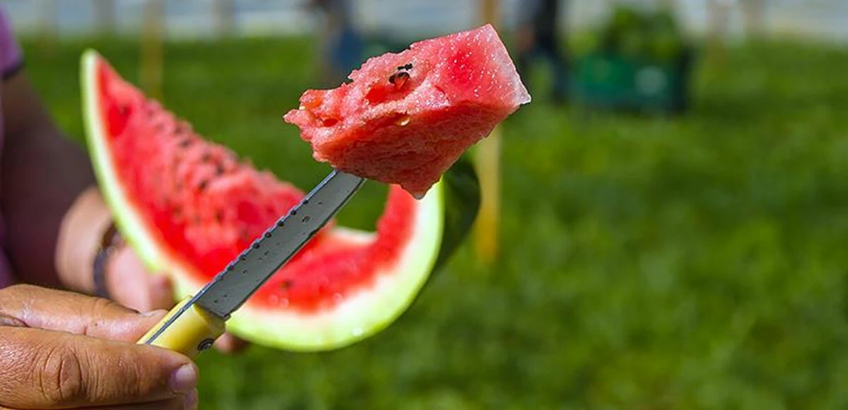Mangal keyfinin ateşi cebi yaktı! Kokusu ve tadı artık hayal oldu