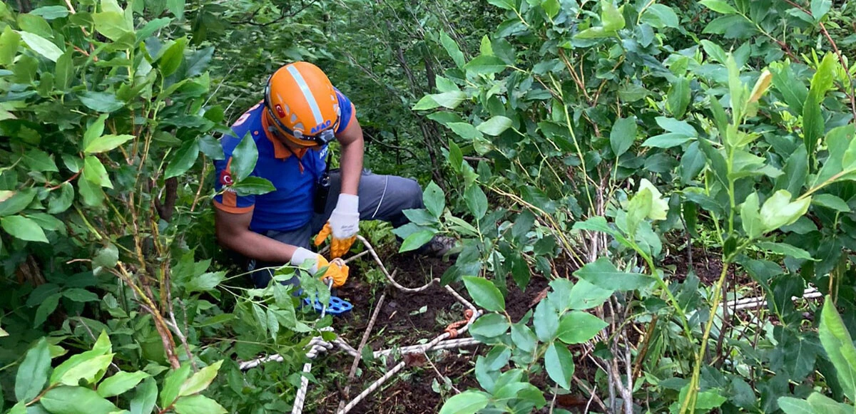 İneği ile birlikte uçurumdan düşen kadın öldü