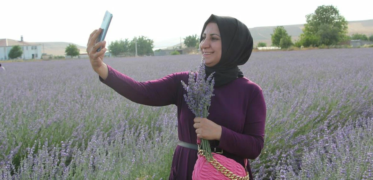 Devlet destek verdi, Siirtli çiftçiler yetiştirdi: Lavantanın geliri çok gideri yok