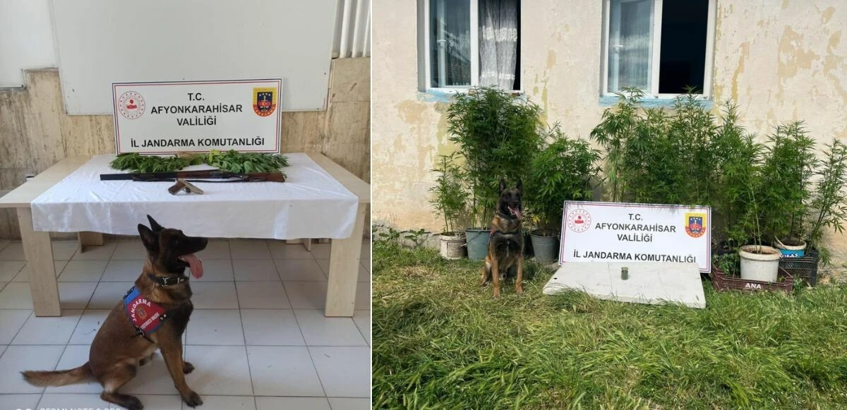 Afyonkarahisar'da 'torbacı' operasyonu! 6 gözaltı