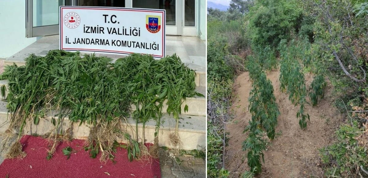 İzmir'in 11 ilçesinde dev uyuşturucu operasyonu! 26 kişi gözaltına alındı