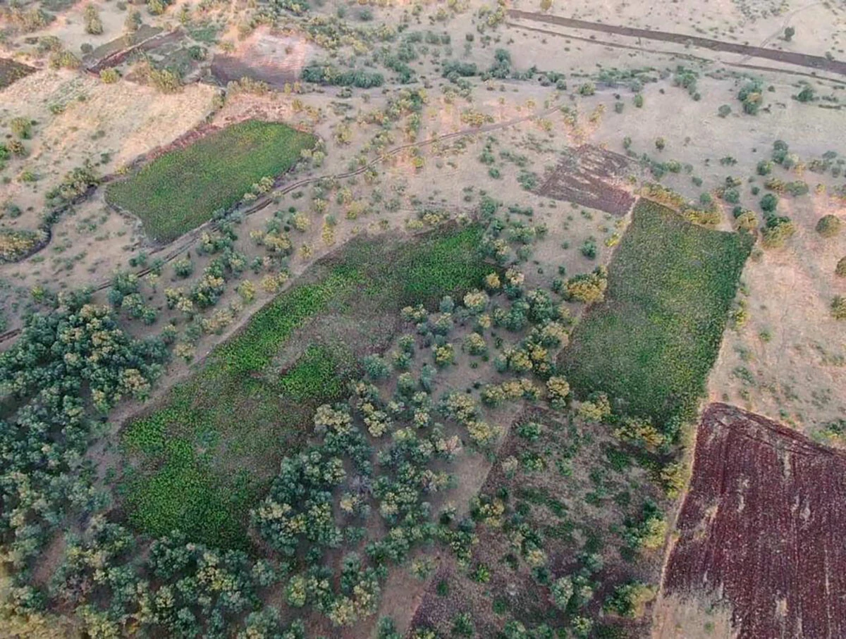 PKK’nın finansman kaynakları kurutuluyor: Eren Abluka-19 başladı