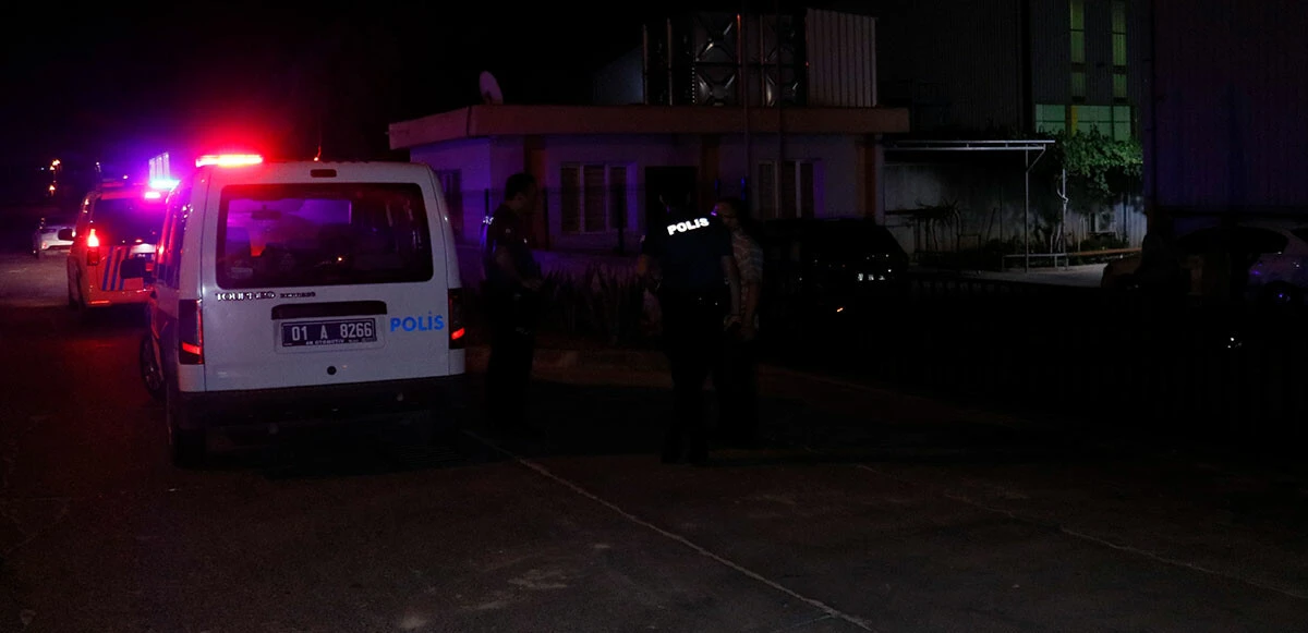 Kadın cinayetini önlemek isterken öldürüldü