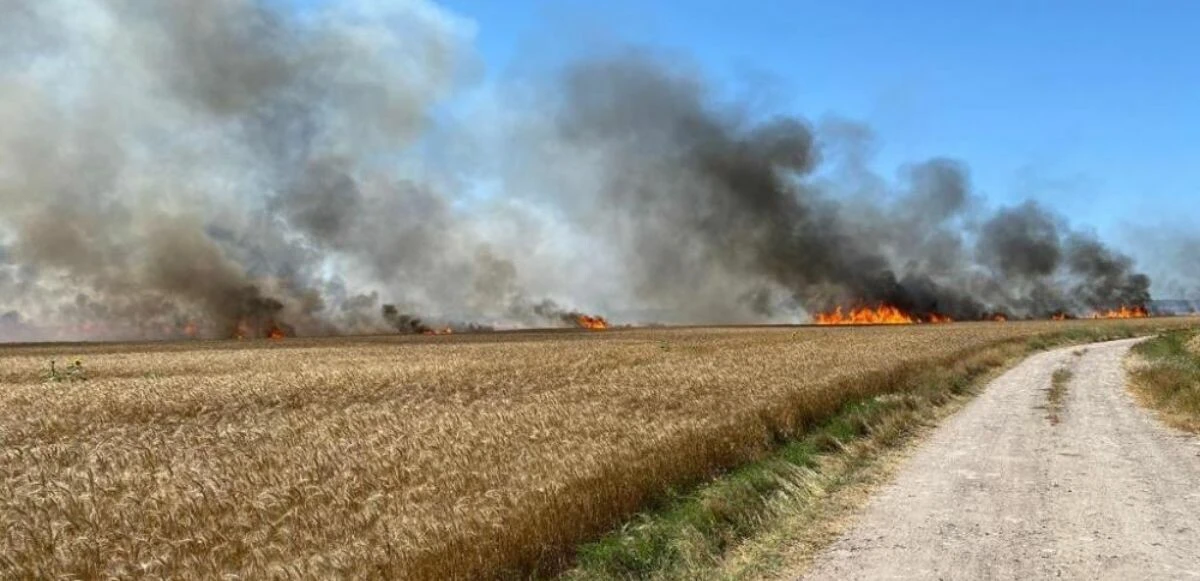 Çorlu'da korkutan yangın! Yüzlerce dönümlük tarla dakikalar içinde küle döndü!