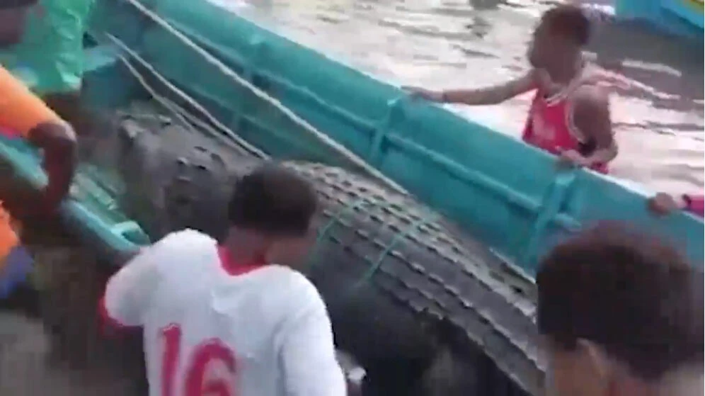 Kayıp genç 13 metrelik timsahın içinden çıktı! Dünya basını bu olayı konuşuyor