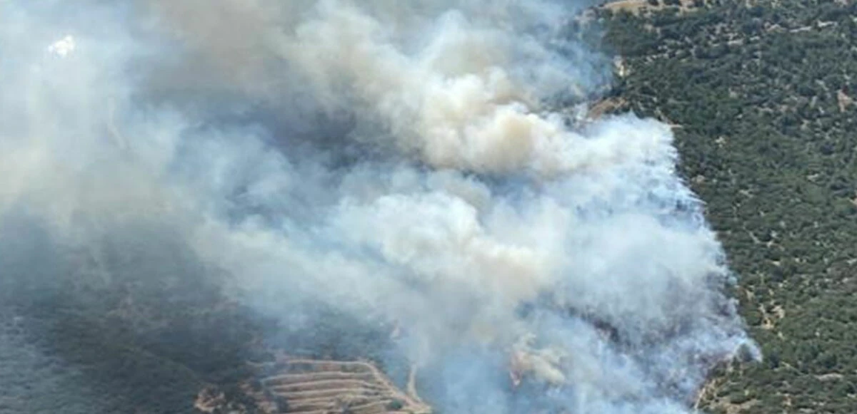 Son dakika: İzmir'de iki bölgede orman yangını