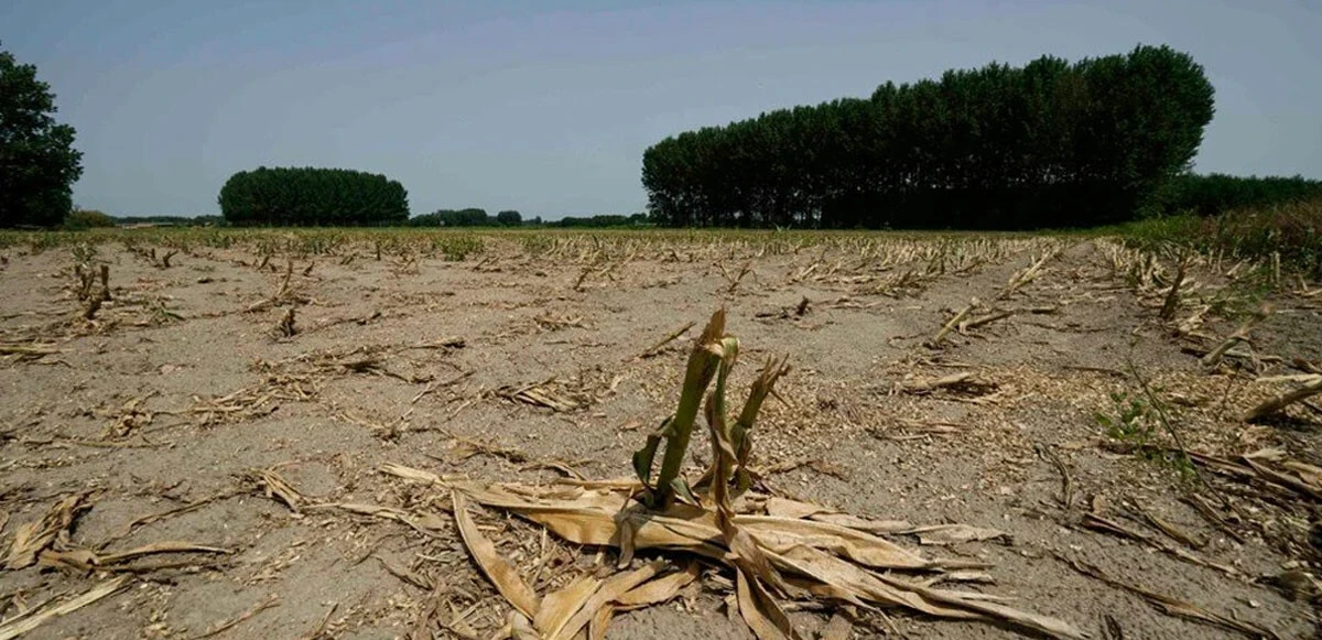İtalya'da tarihi kuraklık: 5 bölgede OHAL ilan edildi