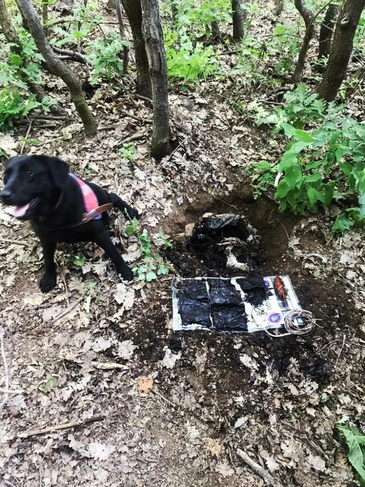 Kurban Bayramı'nı kana bulayacaklardı! 60 kilogram patlayıcı ele geçirildi