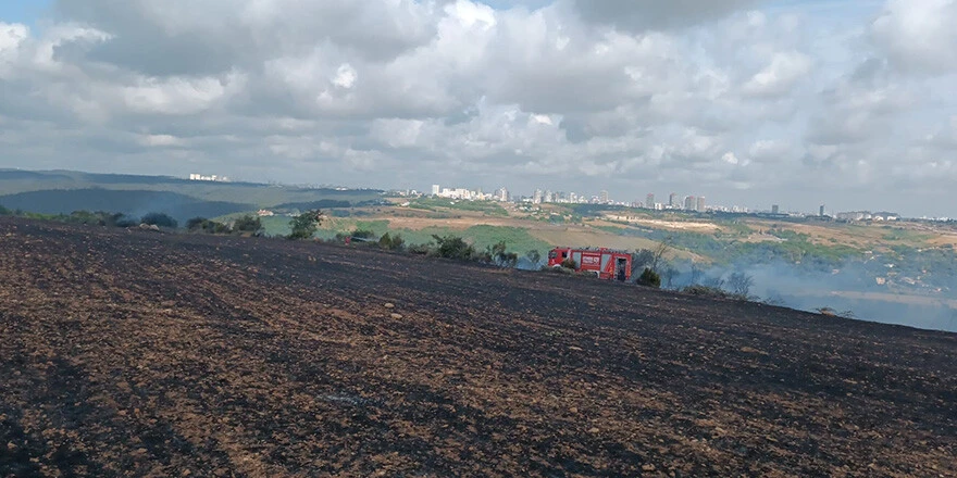 Son dakika! İstanbul'da buğday tarlasında yangın