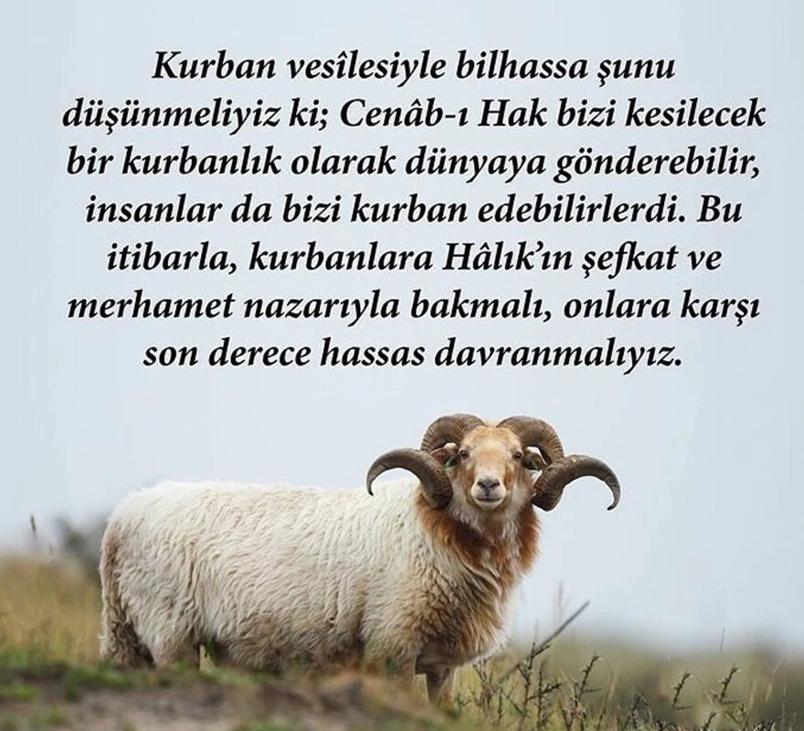 En güzel KURBAN BAYRAMI MESAJLARI resimli 2022: Whatsapp, İnstagram ve Facebook için resimli, anlamlı, değişik, dualı, sözlü bayram kutlama mesajları ve sözleri